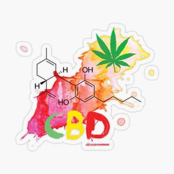 CBD Splash Transparent Sticker