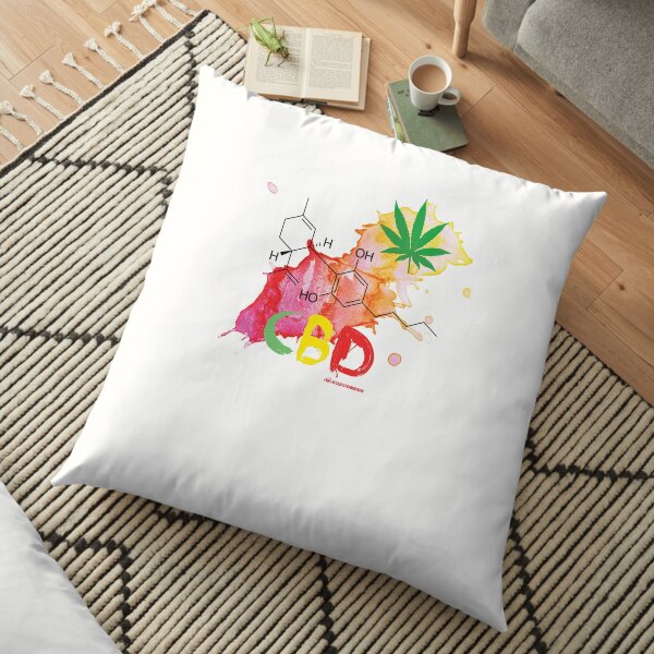 CBD Splash Floor Pillow