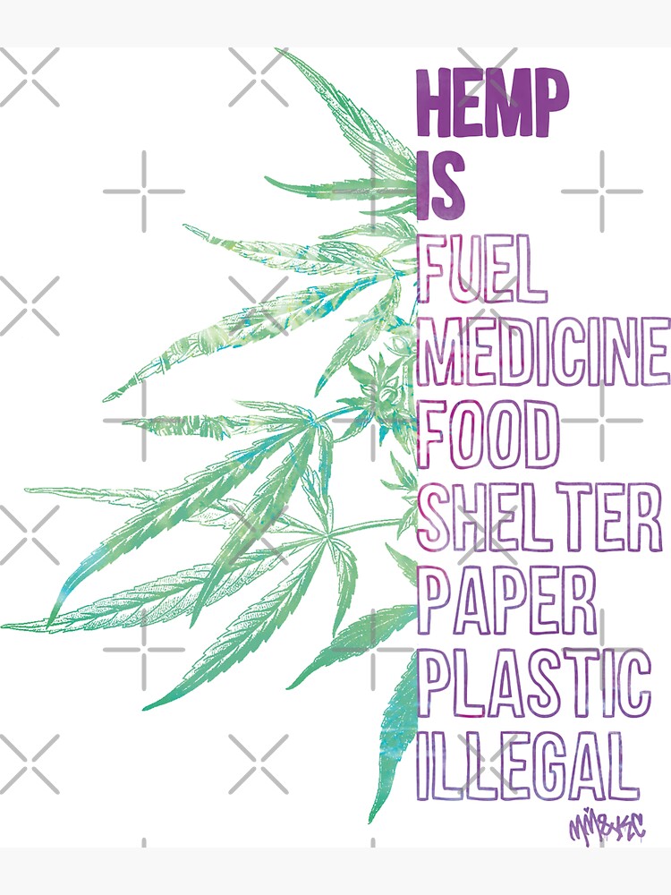 Hemp is by kushcommon