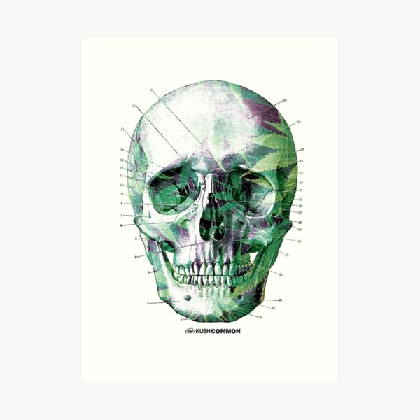Pot Head Art Print