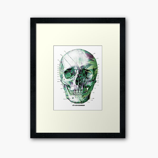 Pot Head Framed Art Print