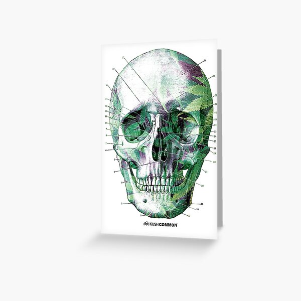 Pot Head Greeting Card