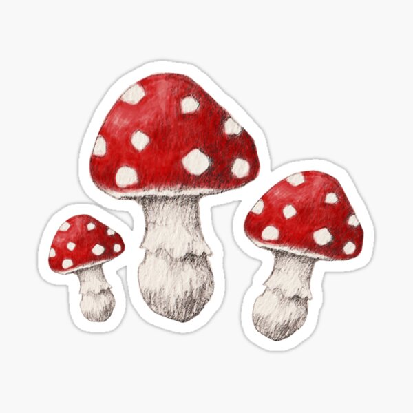 Mini Mushrooms in Red Sticker