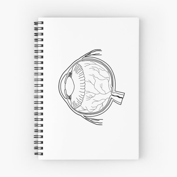 Item preview, Eyeball Line Art Large designed and sold by Organoleptic.