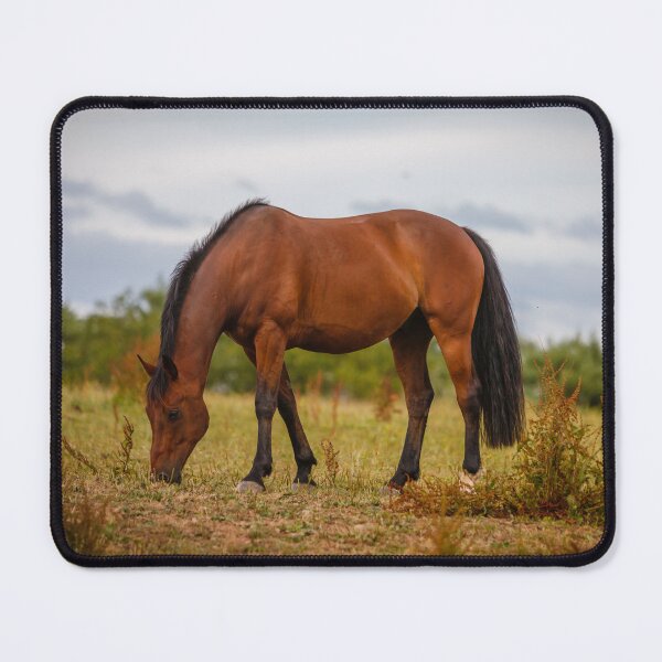 Item preview, Magnificent Bay designed and sold by Dalyndigital Photography.