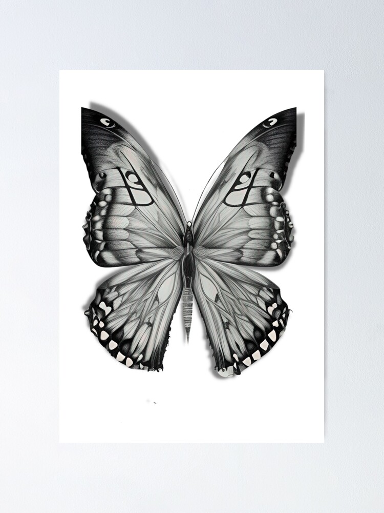 Póster «Dibujo a lápiz de color de mariposa gótica nostálgica - Dibujo de  mariposa monarca - Arte de mariposas de CallisC» de CalliopeCr | Redbubble