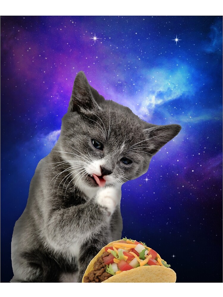 "Funny Cat Eating Taco In Space " Tshirt by Katnovations Redbubble