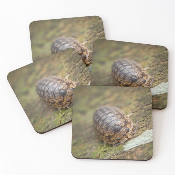 Item preview, A furious looking woodlouse designed and sold by AvonPerception.
