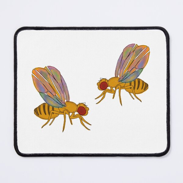 Item preview, Drosophila  designed and sold by livvysophie.