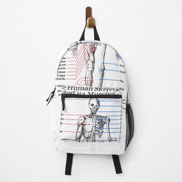 Item preview, The Human Skeleton and its Muscles, anatomy, vintage designed and sold by DeVeauDesign.