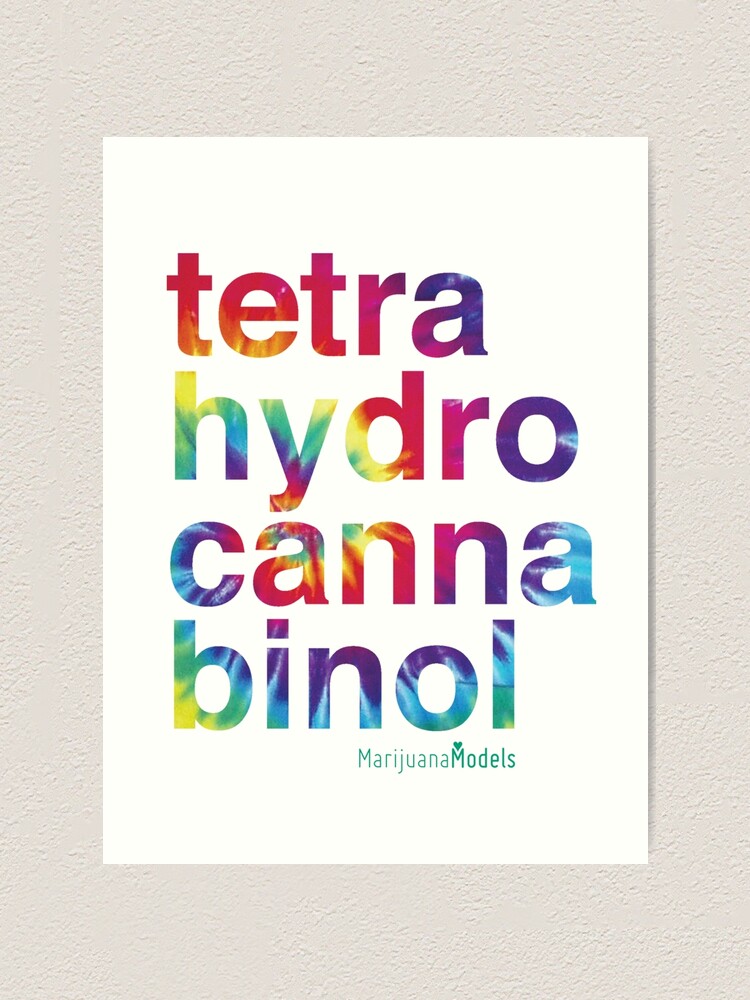 Alternate view of Tetra Art Print