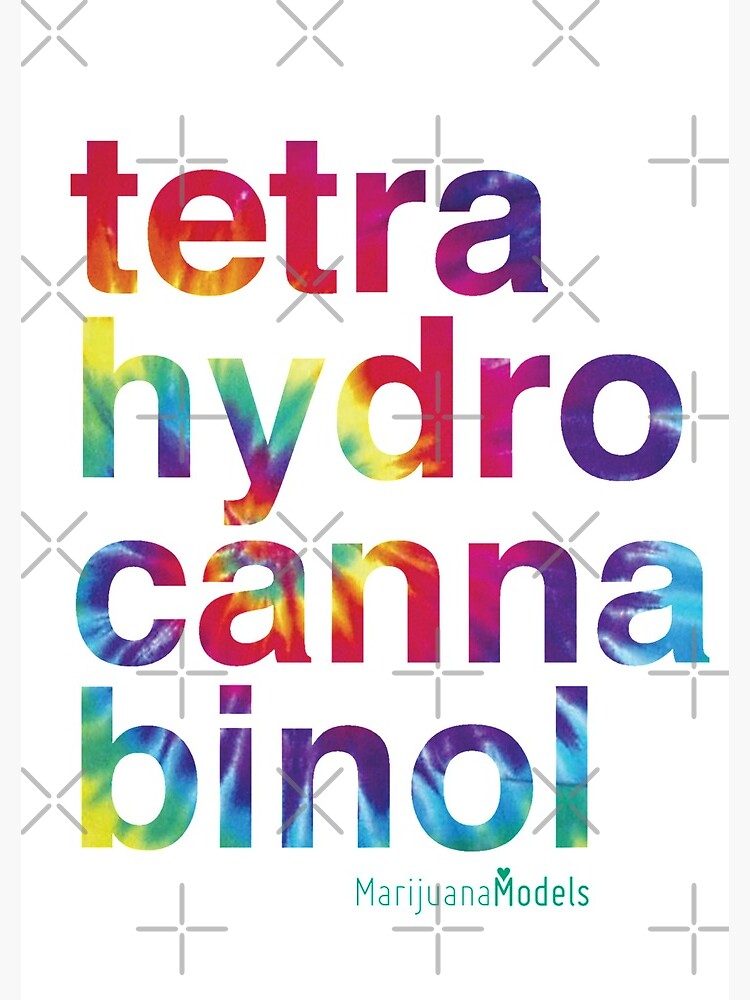 Tetra by kushcommon