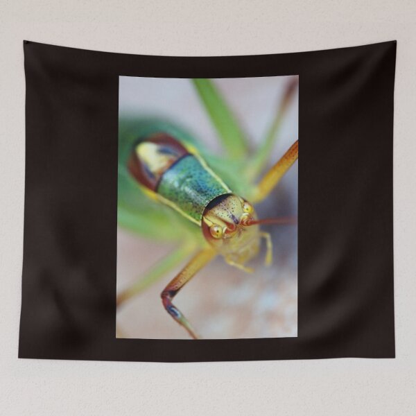 Item preview, Face to Face designed and sold by Kankobasu.
