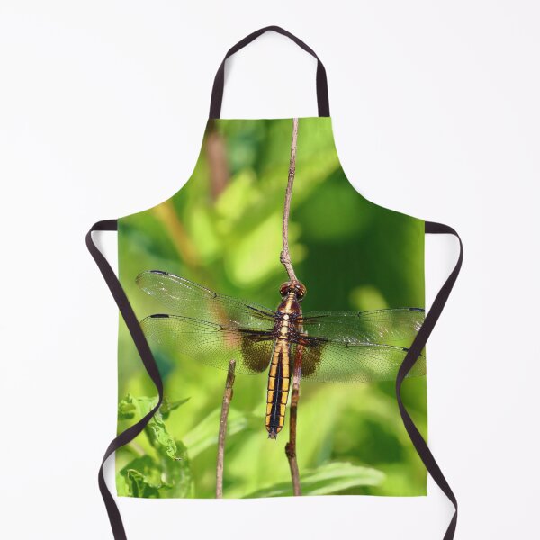Item preview, Brown Dragonfly | Nature designed and sold by RedHandedOD.