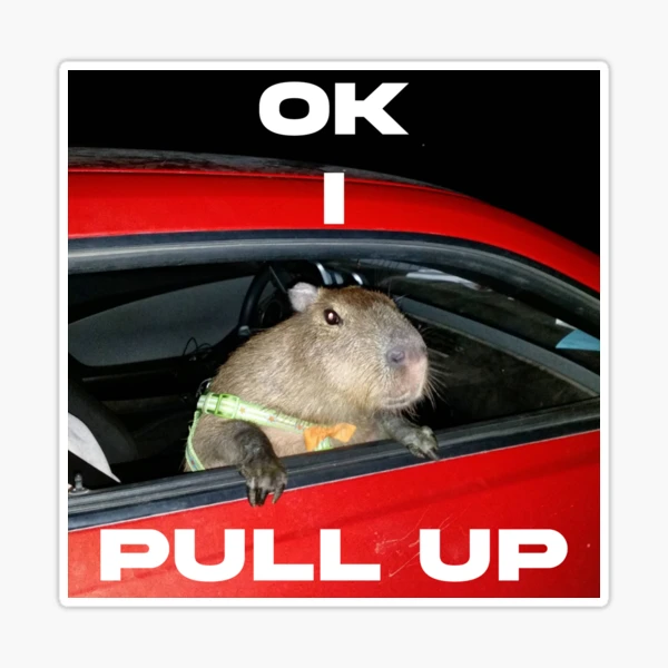 Capivara andando de carro' Explicado (Ok, I Pull Up) 