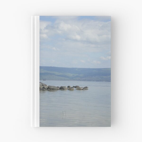 Item preview, Galilee designed and sold by Rebekah  McLeod.