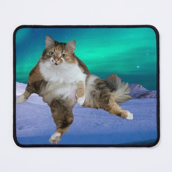 Item preview, Who you looking at Cat. Chilling cat designed and sold by Nikita  Baravliovas.