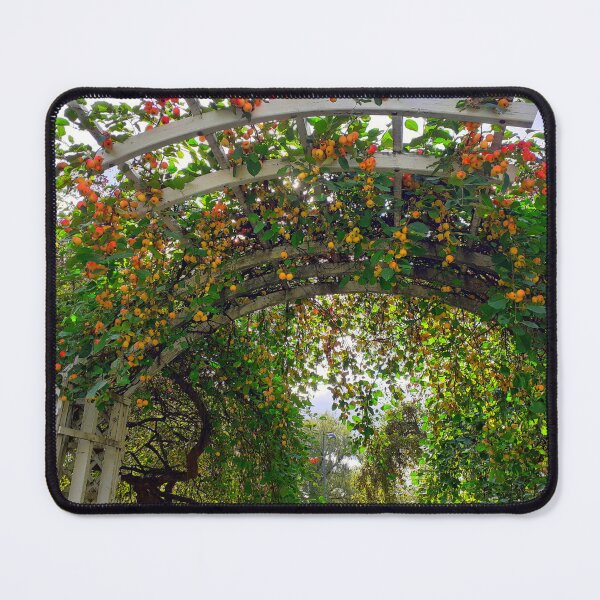 Item preview, Fairytale Garden designed and sold by Niina Niskanen.