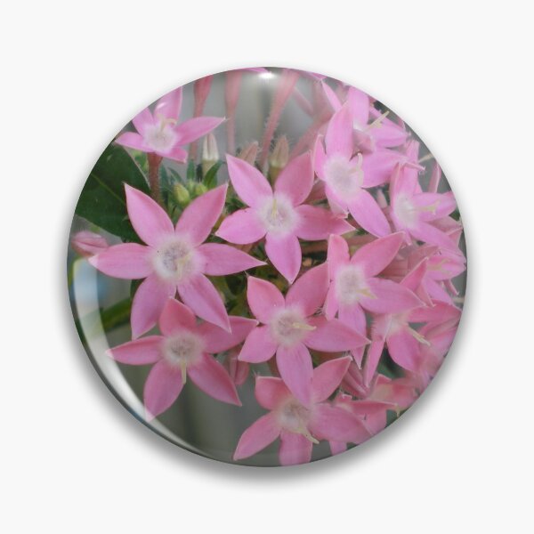 Item preview, Country Pink designed and sold by Rebekah  McLeod.