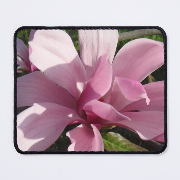 Item preview, A magnolia blossom - pink and fragrant // designed and sold by Lillrose.