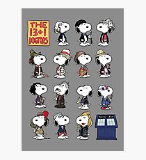 The 13 + 1 Dogtors Photographic Print