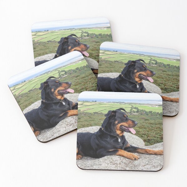 Item preview, Beauceron Dog designed and sold by Paul Thompson Photography.