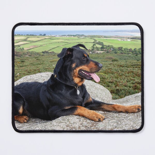 Item preview, Beauceron Dog designed and sold by Paul Thompson Photography.