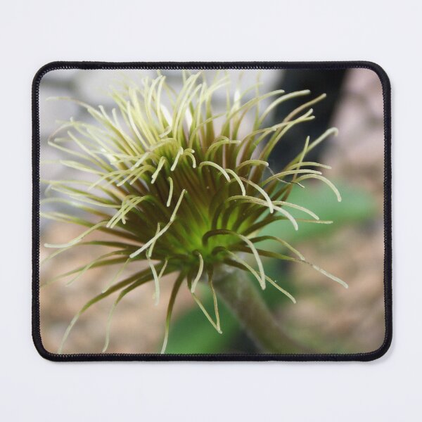 Item preview, Bad Hair Day designed and sold by Rebekah  McLeod.