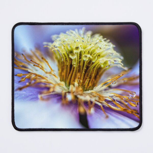 Item preview, Water Drops On Clematis Flower designed and sold by Paul Thompson Photography.