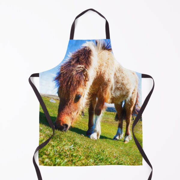 Item preview, Dartmoor Ponies, Devon, UK designed and sold by Paul Thompson Photography.