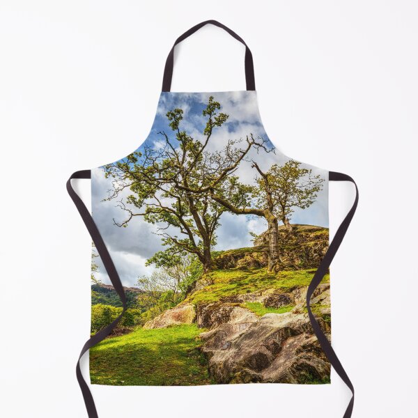 Item preview, Trees On The Rocks designed and sold by Paul Thompson Photography.