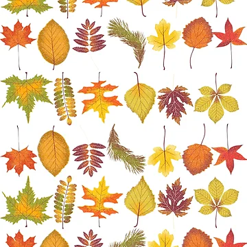 Artwork thumbnail, Color Combination Pattern by TowTees