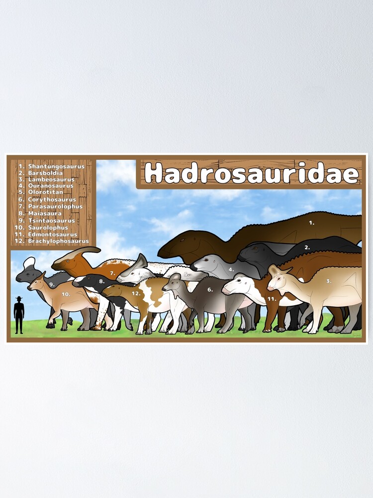 "Hadrosauridae Size Chart" Poster for Sale by charyzard | Redbubble