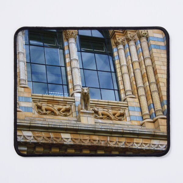 Item preview, Natural History Museum London Windows designed and sold by Niina  Niskanen.