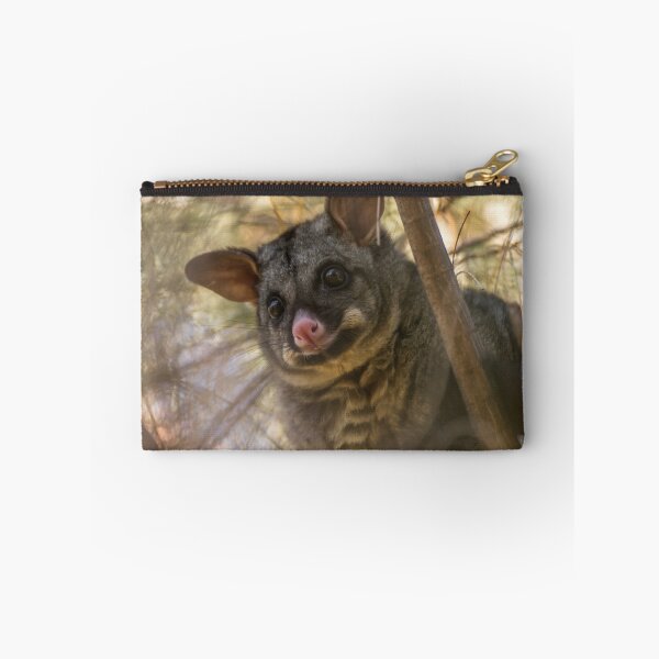 Item preview, Brushtail Possum designed and sold by LilLizphoto.