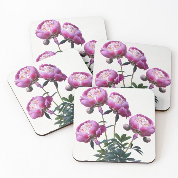 Item preview, Peony Flowers designed and sold by Vanover Designs.