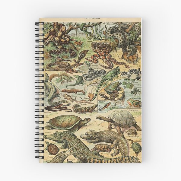 Item preview, Reptiles - Adolphe Millot designed and sold by tomorrowsart.
