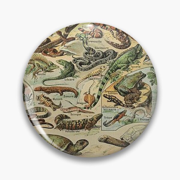 Item preview, Reptiles - Adolphe Millot  designed and sold by tomorrowsart.