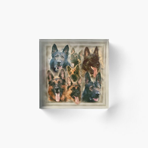 German Shepherd dog - GSD Watercolor collage Acrylic Block