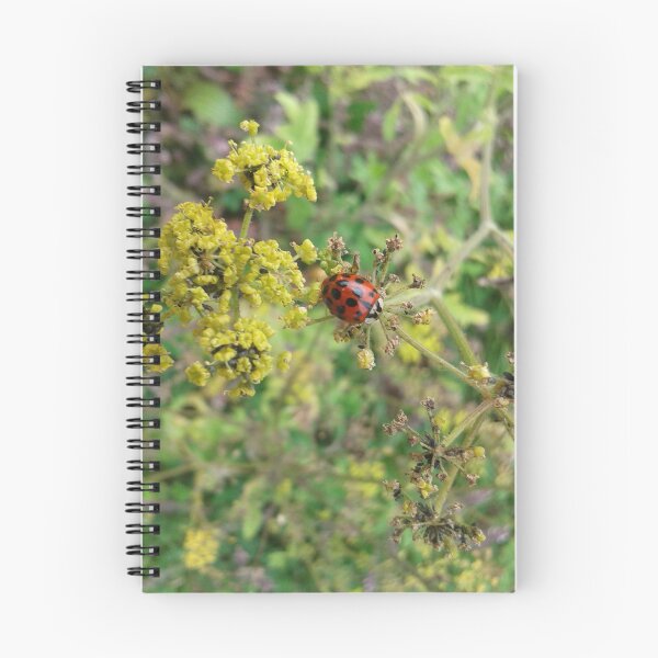 Item preview, Ladybird designed and sold by SandersSP-Merch.