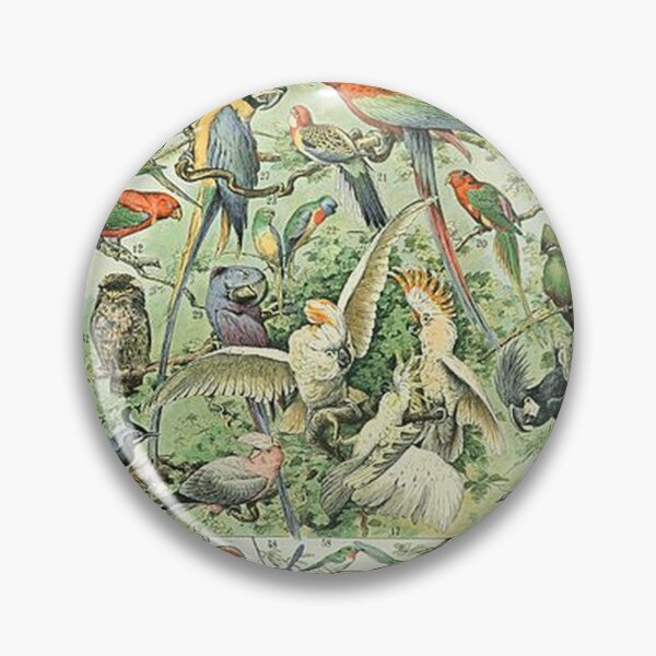 Item preview, Oiseaux A  Illustrations of Birds by Adolphe Millot designed and sold by tomorrowsart.