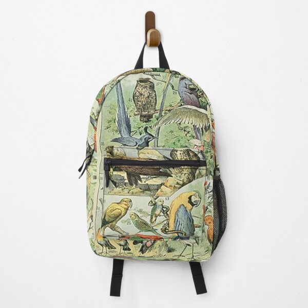 Item preview, Oiseaux A  Illustrations of Birds by Adolphe Millot designed and sold by tomorrowsart.