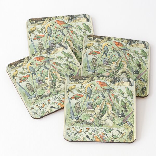 Item preview, Oiseaux A  Illustrations of Birds by Adolphe Millot designed and sold by tomorrowsart.