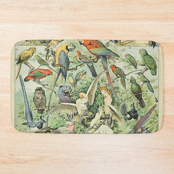 Item preview, Oiseaux A  Illustrations of Birds by Adolphe Millot designed and sold by tomorrowsart.