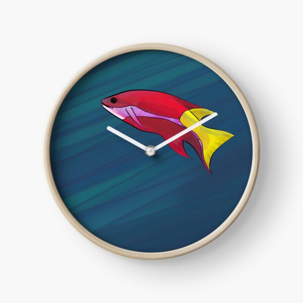 Cuban Hogfish in the Ocean Clock