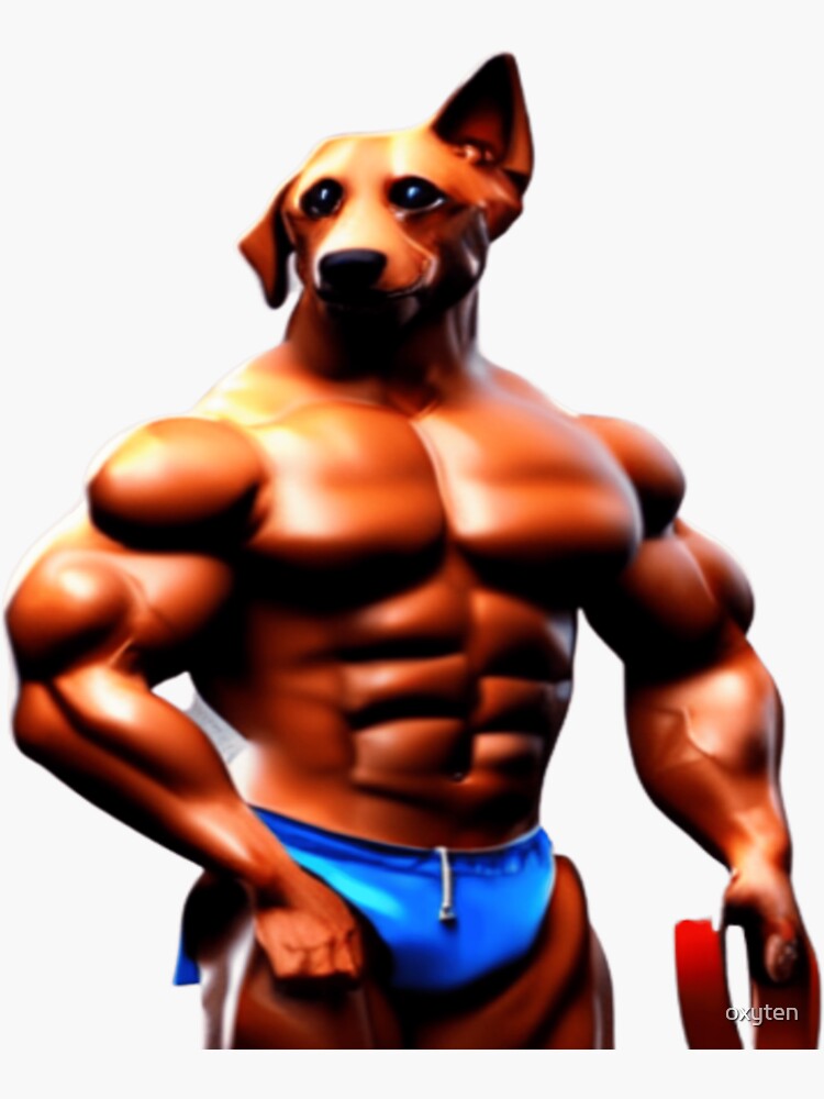 "Body Builder Dog Dog Six Pack" Sticker for Sale by oxyten Redbubble