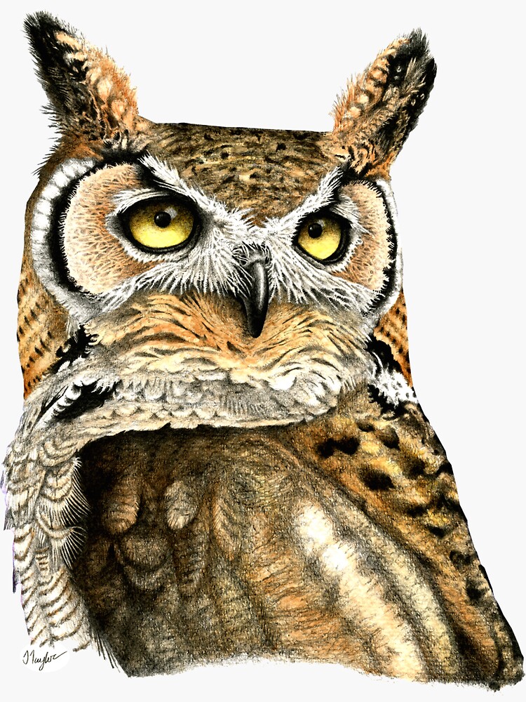 Great Horned Owl | Vinyl Sticker Great Horned Owl | Vinyl Sticker