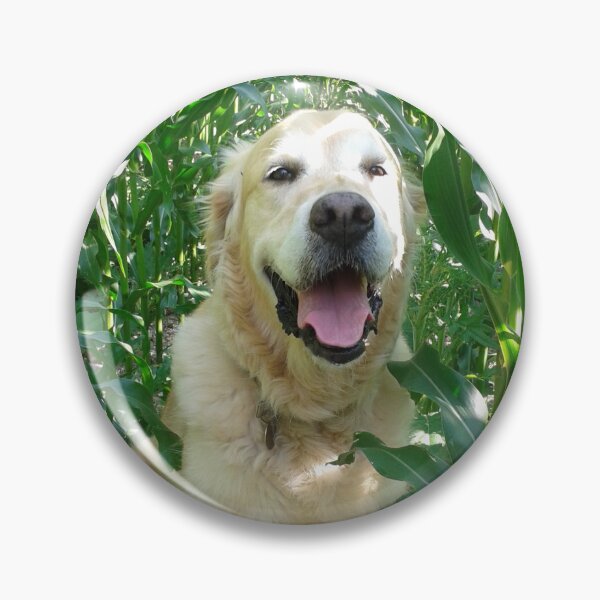 Item preview, Happy Golden Retriever in the Maize designed and sold by SandersSP-Merch.