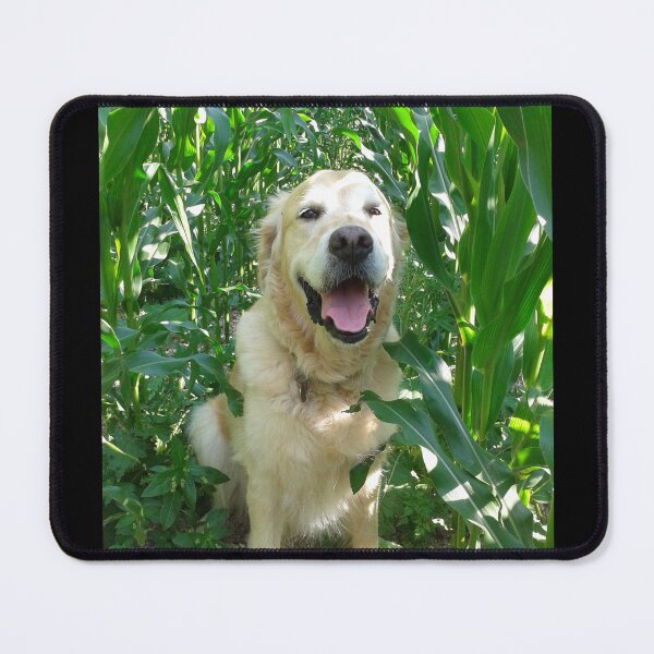 Item preview, Happy Golden Retriever in the Maize designed and sold by SandersSP-Merch.