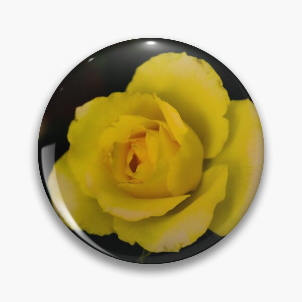 Item preview, single yellow rose blossom on black background designed and sold by kall3bu.
